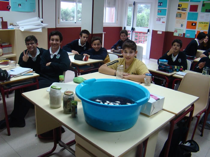 Diario de un hortelano en prácticas V