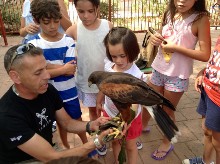 Exhibición de aves rapaces