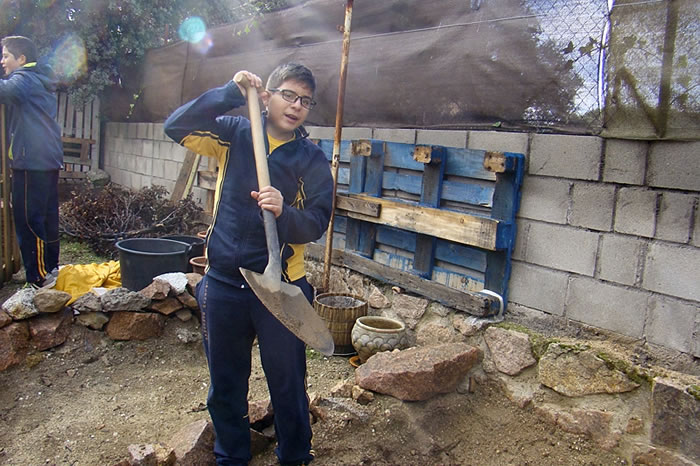 Diario de un hortelano en prácticas III