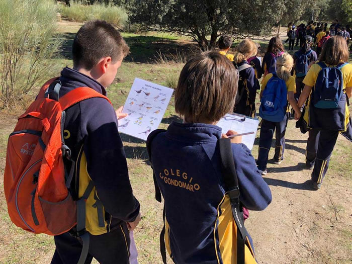 Anillamiento de aves con ENARA. Educación Ambiental.