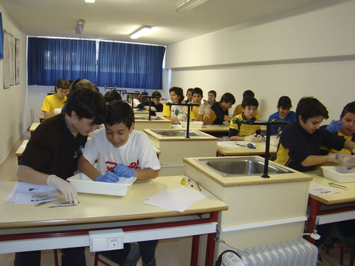 De nuevo en el laboratorio