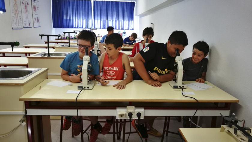 Laboratorio en Summer Camp