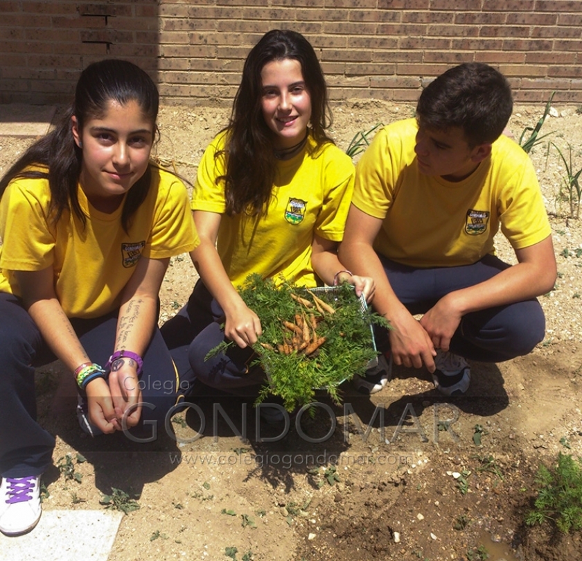 Recolectando los frutos de nuestros sueños