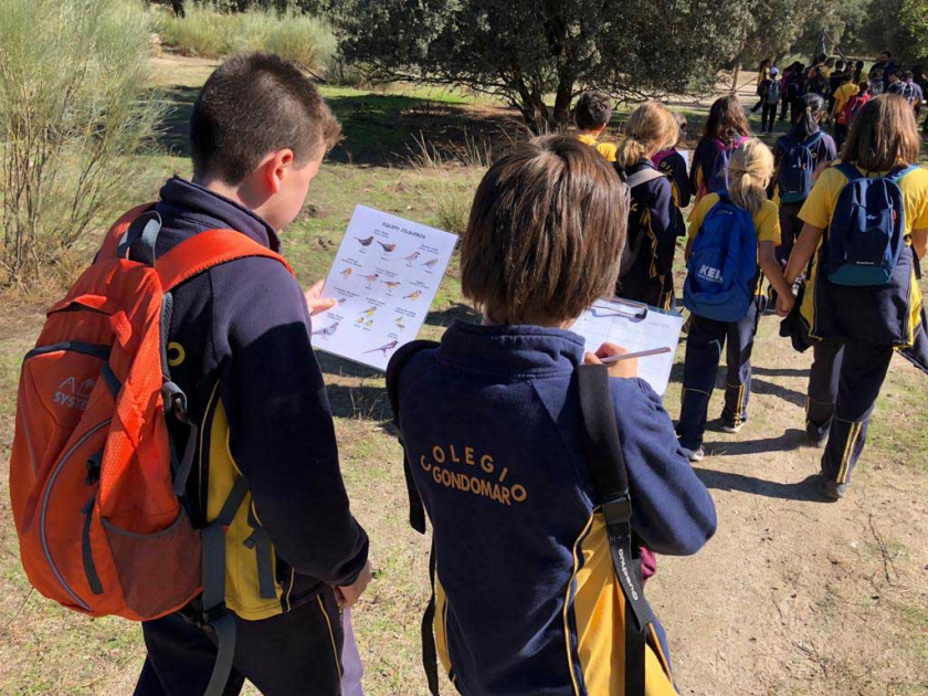 Anillamiento de aves con ENARA. Educación Ambiental.