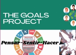 The Goals Project